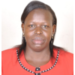 Board Member