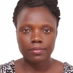 Board Member