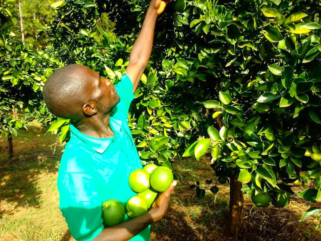 SLiAF project unlocks youth’s door to creativity and wealth SLiAF project unlocks youth’s door to creativity and wealth