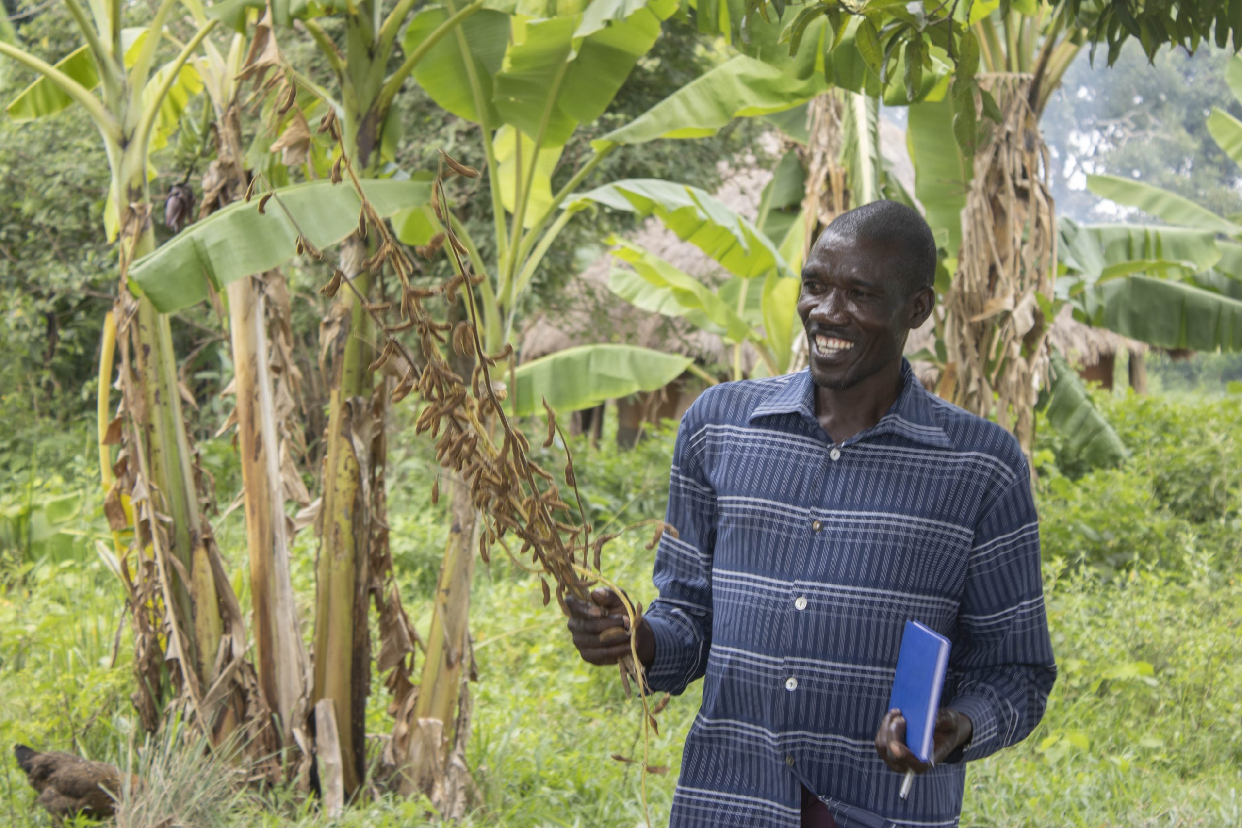 Smallholder farmers in Kapchorwa