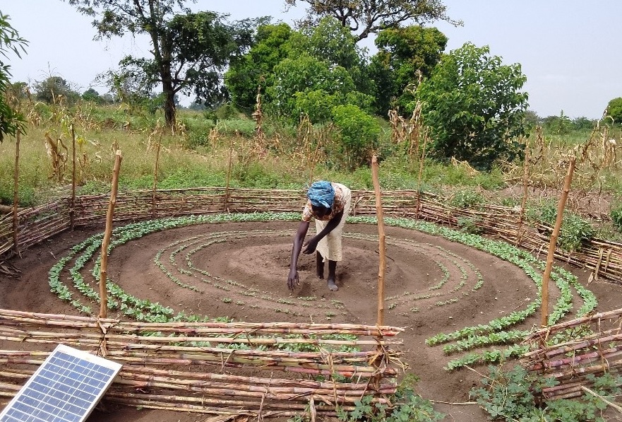 Kitchen garden in northern Uganda